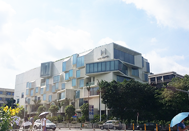 深圳回草莓视频APP在线观看污